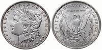 Stany Zjednoczone Ameryki (USA), dolar, 1885