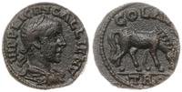 Æ-21 253-268, Aw: Popiersie cesarza w prawo, nap