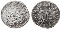 Prusy Książęce 1525-1657, grosz, 1613