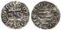 denar 1436-1437, Kremnica, Aw: Podwójny krzyż, M