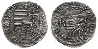 denar 1489-1490, Kremnica, Aw: Tarcza herbowa, w