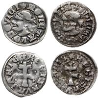 zestaw: 2 x denar 1358-1371, Aw: Głowa Saracena 