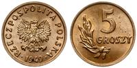 5 groszy 1949, Bazylea, brąz, moneta z wyśmienit