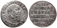 Prusy Książęce 1525-1657, trojak, 1542