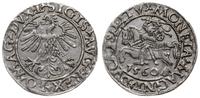 Polska, półgrosz, 1560