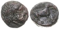 brąz 430 - 344 pne, Aw: Głowa Zeusa w wieńcu lau