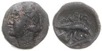 brąz 380-360 pne, Aw: Głowa Demeter w diademie w