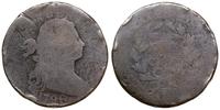 1 cent 1796, typ Liberty Cap, rewers z rocznika 