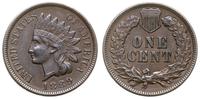 1 cent 1889, Filadelfia, typ Indian Head, patyna
