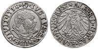 Prusy Książęce 1525-1657, grosz, 1538