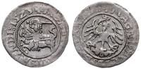 półgrosz 1523, Wilno, pełna data 15Z3, moneta ni