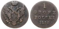 1 grosz polski 1830 FH, Warszawa, Bitkin 1059, P
