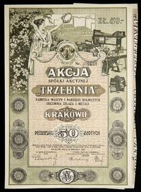 akcja na 50 złotych 1924, "TRZEBINIA" Fabryka Ma