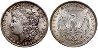 1 dolar 1884 O, Nowy Orlean, typ Morgan, srebro,