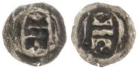 Zakon Krzyżacki, brakteat, ok. 1327-1338