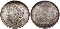 dolar 1884 O, Nowy Orlean, typ Morgan, srebro pr