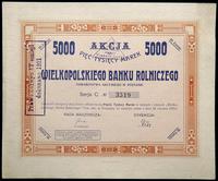akcja na 5.000 marek polskich, Wielkopolski Bank