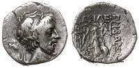 drachma 52-42 pne, Eusebia, Aw: Głowa Ariobranes