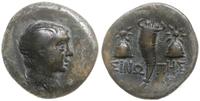 brąz 120-100 pne, Aw: Popiersie Perseusza w praw