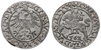 Polska, półgrosz litewski, 1562