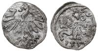 denar 1558, Wilno, Ivanauskas 2SA18-8 (R), Kop. 