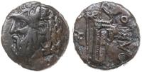 brąz IV-III w. pne, Aw: Głowa Borystenesa (uosob