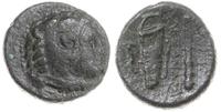 brąz 336-323 pne, Aw: Głowa Heraklesa w lwiej sk