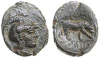 brąz po 148 pne, Aw: Głowa Ateny w hełmie, w pra