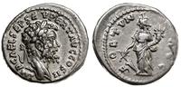 denar 193, Emesa, Aw: Głowa cesarza w wieńcu lau