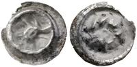 brakteat XIII–XIV w., Łeb kozła w prawo, srebro,