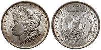 1 dolar  1884 O, Nowy Orlean, typ Morgan, srebro