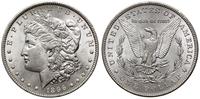 1 dolar  1896, Filadelfia, typ Morgan, srebro 26