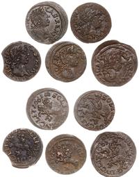 Polska, zestaw: 5 x szeląg miedziany (boratynka), 1 x 1660, 4 x 1661