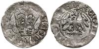półgrosz 1412-1414, Kraków, srebro 1.06 g, monet