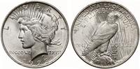 dolar 1923, Filadelfia, typ Peace, srebro 26.73 