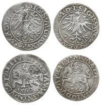 Polska, 2 x półgrosz, 1560 (III+) i 1564 (III)