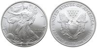 dolar 2006, Filadelfia, Liberty, 1 uncja srebra,