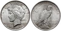 1 dolar 1923, Filadelfia, typ Peace