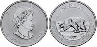 8 dolarów 2013, Biały niedźwiedź, srebro "999.9"