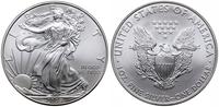 1 dolar 2009, Liberty, 1 uncja srebra, stempel z