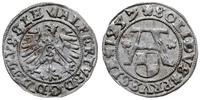 szeląg 1557, Królewiec, Slg. Marienburg 1217, Vo