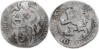 talar lewkowy (Leeuwendaalder) 1617, srebro 26.6