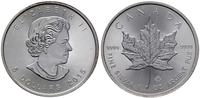 5 dolarów 2015, Maple Leaf, srebro próby 999.9 3