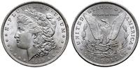 1 dolar 1889, Filadelfia, typ Morgan, piękne