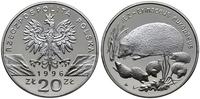 20 złotych 1996, Warszawa, Jeż - Erinaceus europ