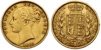 funt 1853, złoto 7.93 g, moneta wybita stemplem 