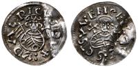 denar 1012-1034, Praga, Aw: Popiersie z proporce