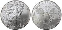 1 dolar 2010, Walking Liberty, srebro 31.34 g = 