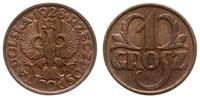 1 grosz 1928, Warszawa, brąz, ładna moneta , Par