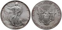1 dolar 1993, Walking Liberty, srebro próby 999,
